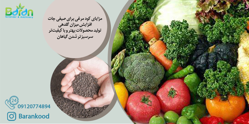 کود مرغی برای صیفی جات