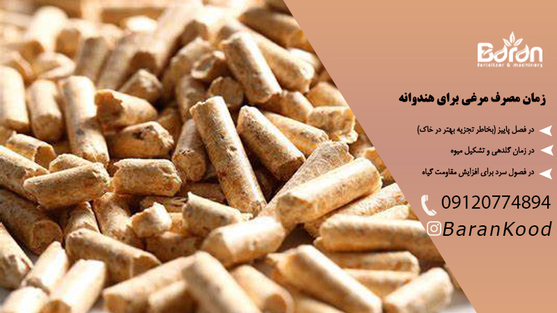 کود مرغی برای هندوانه