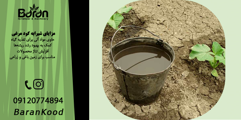 شیرابه کود مرغی