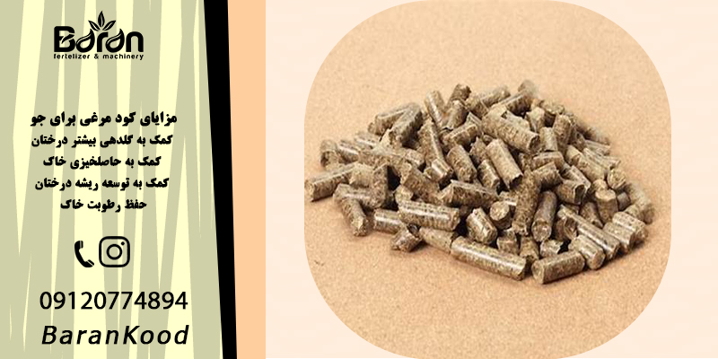 کود مرغی برای جو