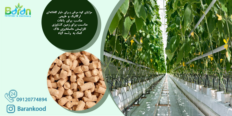 کود مرغی برای خیار گلخانه‌ای