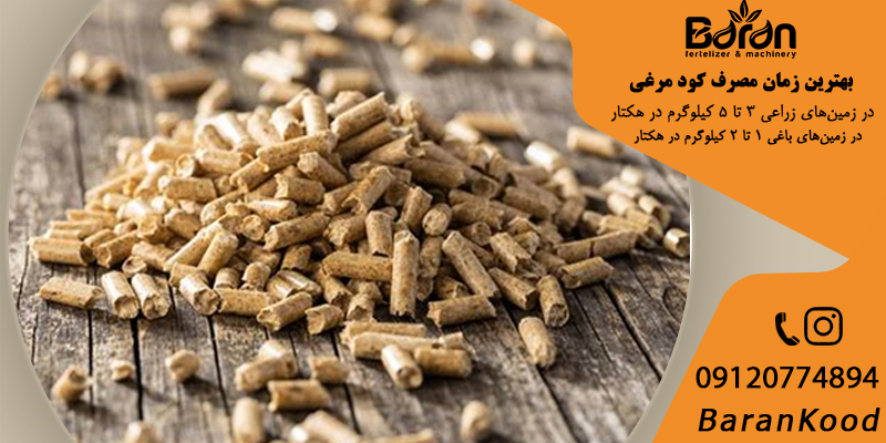 کود مرغی برای خیار