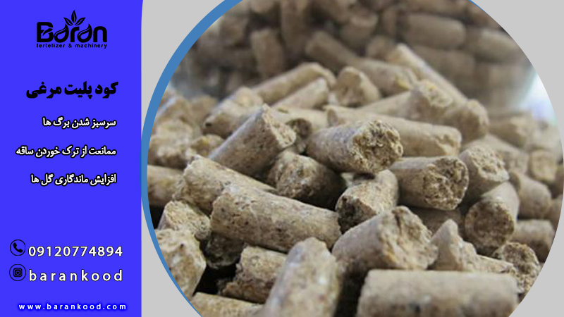 کود مرغی برای صیفی جات