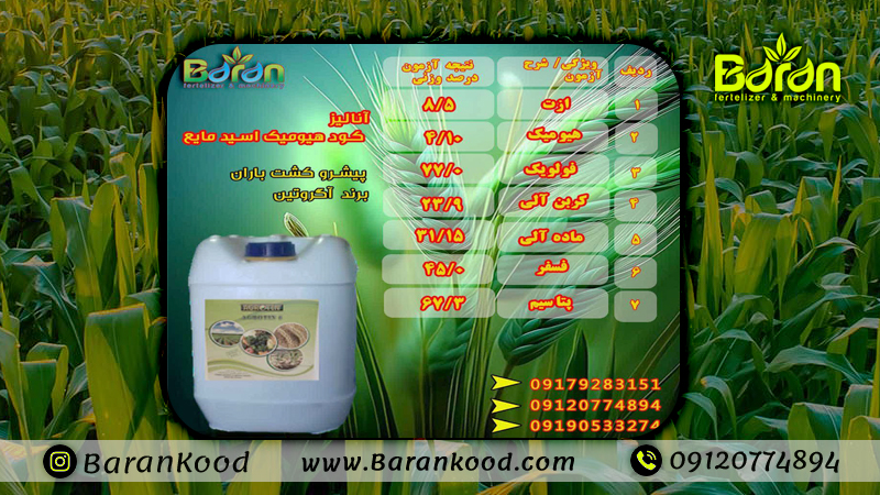 کود هیومیک اسید برای گندم 