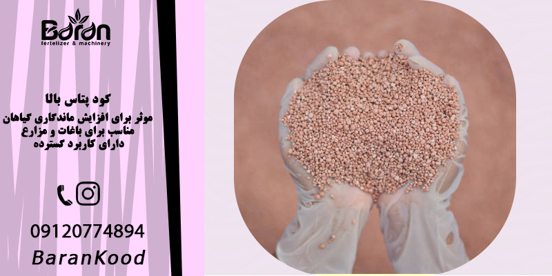 کود پتاس بالا برای برنج 