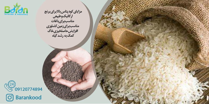 کود پتاس بالا برای برنج