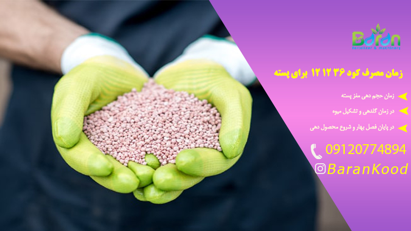 زمان مصرف کود ۳۶ ۱۲ ۱۲ برای پسته