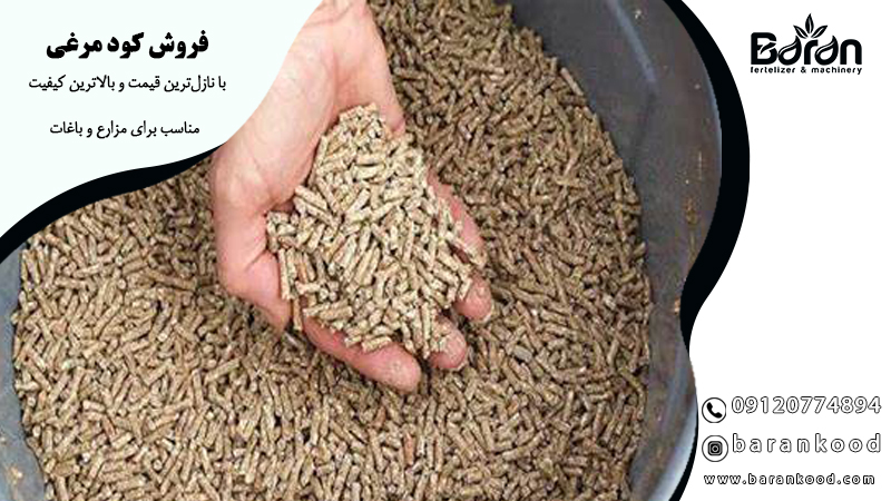 فروش کود مرغی