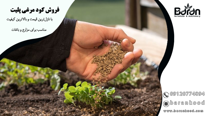 فروش کود پلیت مرغی