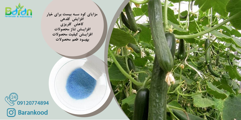  کود سه بیست برای خیار