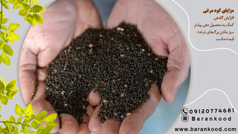 مزایای کود مرغی