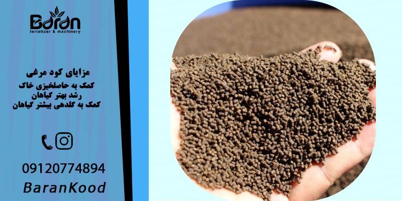 مزایای کود مرغی 