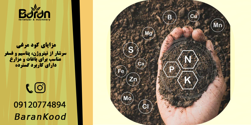 مزایای کود مرغی