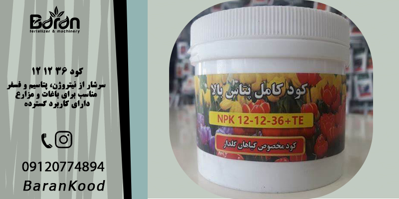 کود ۳۶ ۱۲ ۱۲ برای انگور 