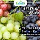 کود ۳۶ ۱۲ ۱۲ برای انگور