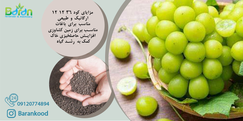 کود ۳۶ ۱۲ ۱۲ برای انگور