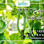 کود ۳۶ ۱۲ ۱۲ برای لوبیا