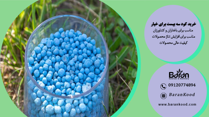 کود سه بیست برای خیار