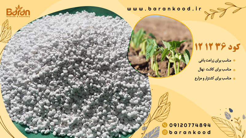 کود پتاس بالا برای لوبیا