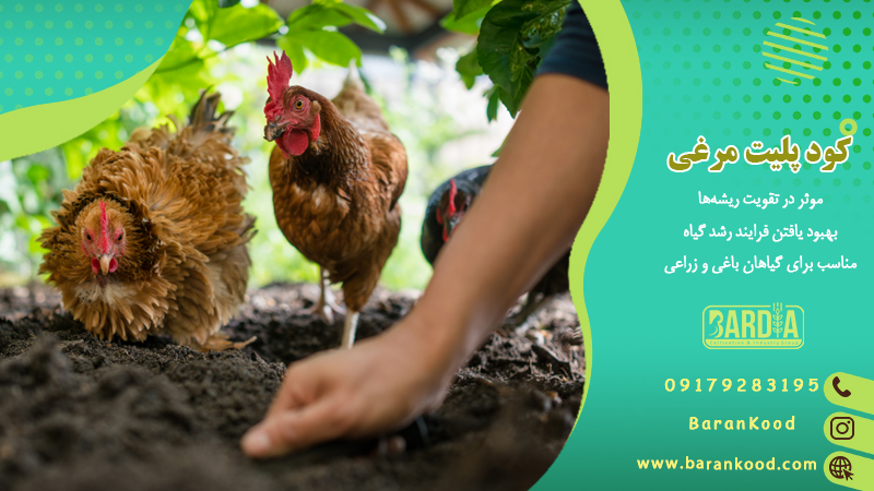 کود پلیت مرغی 