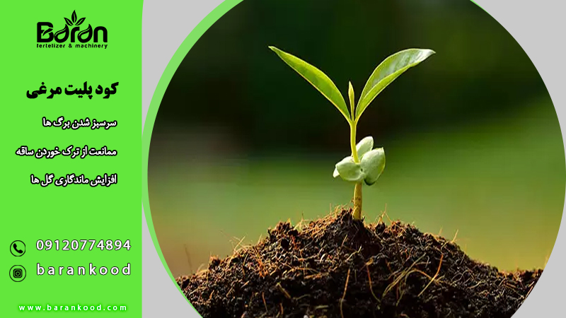 کود پلیت مرغی