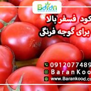 کود ۱۰ ۵۲ ۱۰