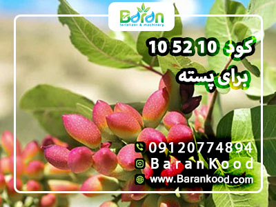 کود ۱۰ ۵۲ ۱۰ برای پسته