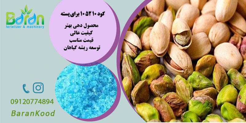 کود ۱۰ ۵۲ ۱۰ برای پسته