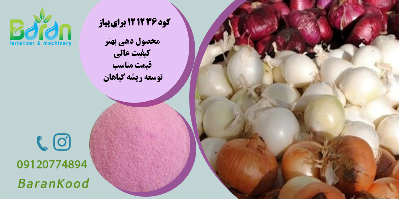 کود ۳۶ ۱۲ ۱۲ برای پیاز