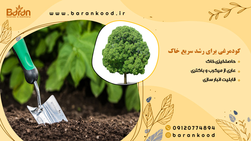 کود برای رشد سریع درخت