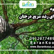 کود برای رشد سریع درختان
