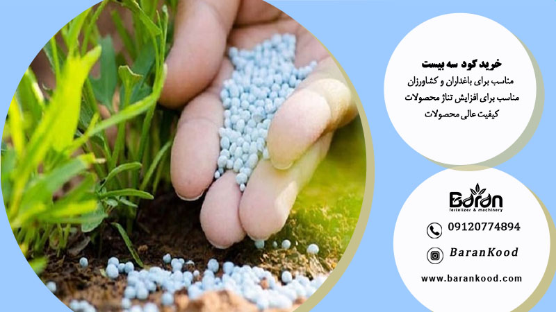 کود بیست بیست