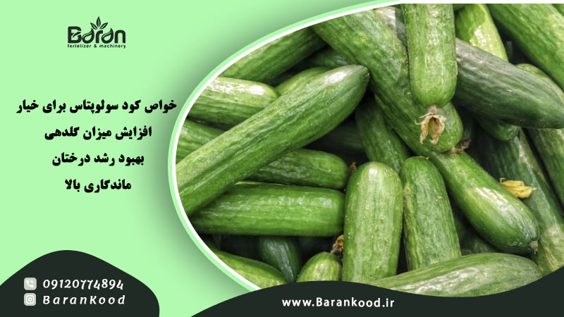 کود سولوپتاس 