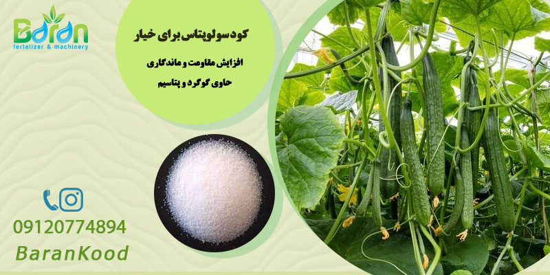 کود سولوپتاس برای خیار