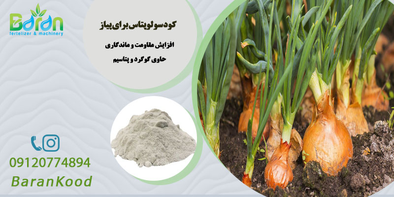 کود سولوپتاس برای پیاز
