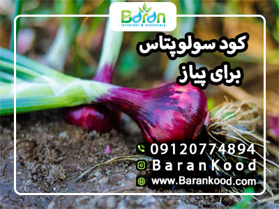کود سولوپتاس برای پیاز