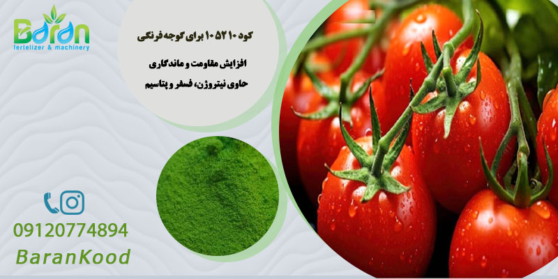 کود ۱۰ ۵۲ ۱۰