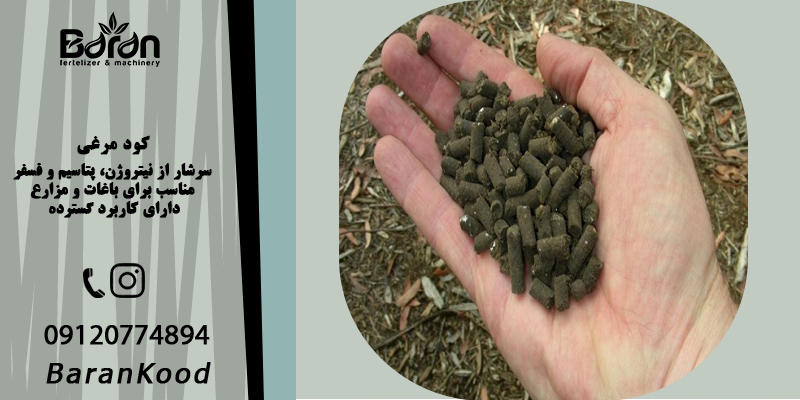 کود مرغی برای رشد سریع درخت