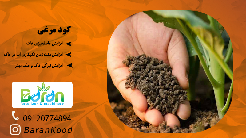 خرید کود مرغی با قیمت مناسب