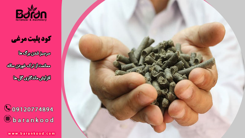 خرید کود مرغی