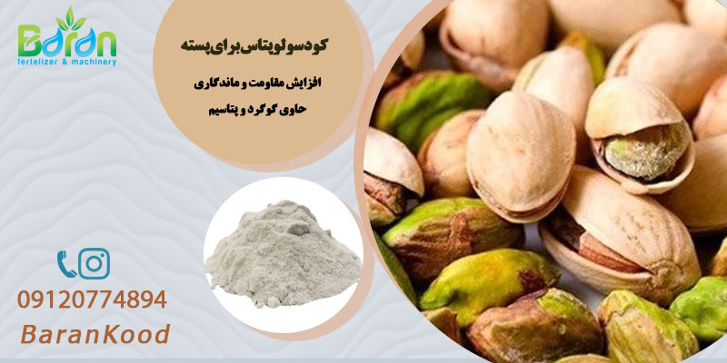 کود سولوپتاس برای پسته