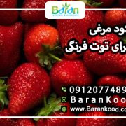 کود مرغی برای توت فرنگی