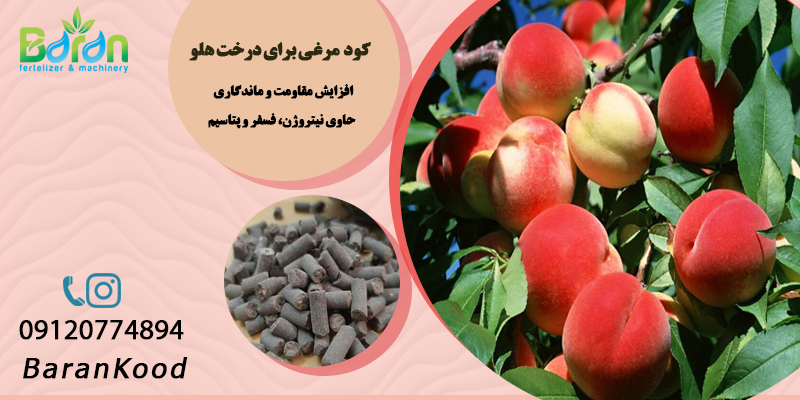 کود مرغی برای درخت هلو