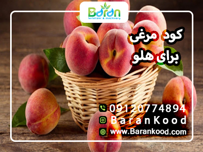 کود مرغی برای هلو