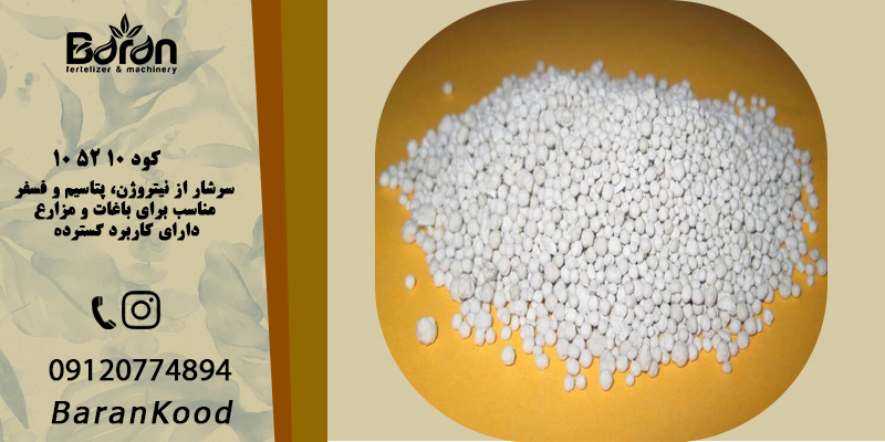 کود فسفر بالا