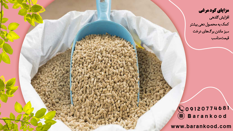 کود مرغی برای درخت سیب