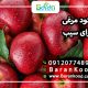 کود مرغی برای سیب