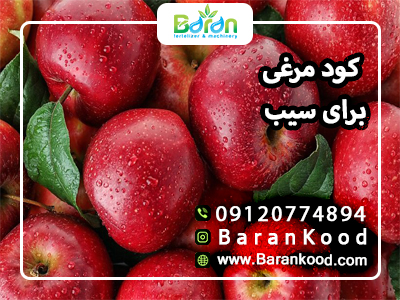 کود مرغی برای سیب