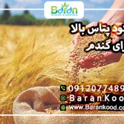 کود پتاس بالا