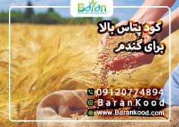 کود پتاس بالا